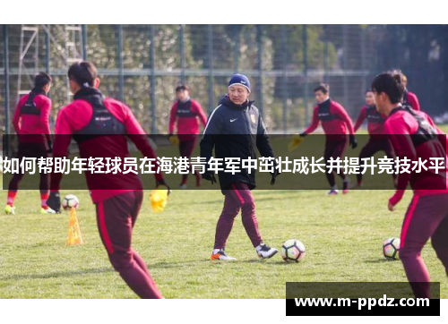 如何帮助年轻球员在海港青年军中茁壮成长并提升竞技水平