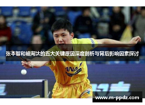 张本智和被淘汰的五大关键原因深度剖析与背后影响因素探讨