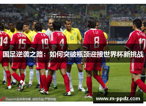 国足逆袭之路：如何突破瓶颈迎接世界杯新挑战