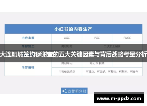 大连鲲城签约穆谢奎的五大关键因素与背后战略考量分析