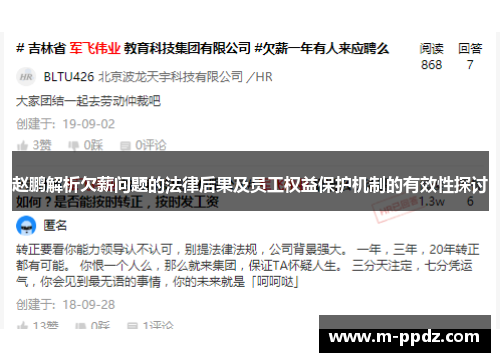 赵鹏解析欠薪问题的法律后果及员工权益保护机制的有效性探讨