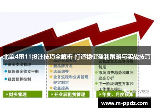 北单4串11投注技巧全解析 打造稳健盈利策略与实战技巧